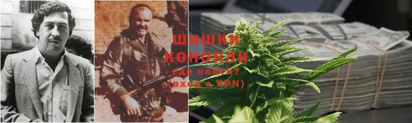 PSILOCYBIN Няндома