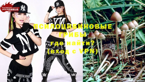 спиды Новокубанск