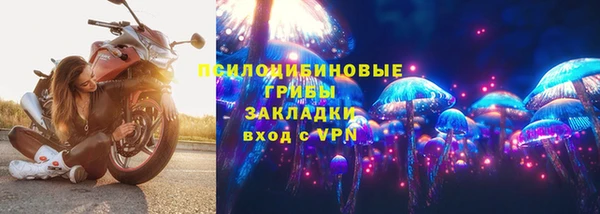 PSILOCYBIN Няндома