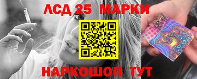 крисы Берёзовский