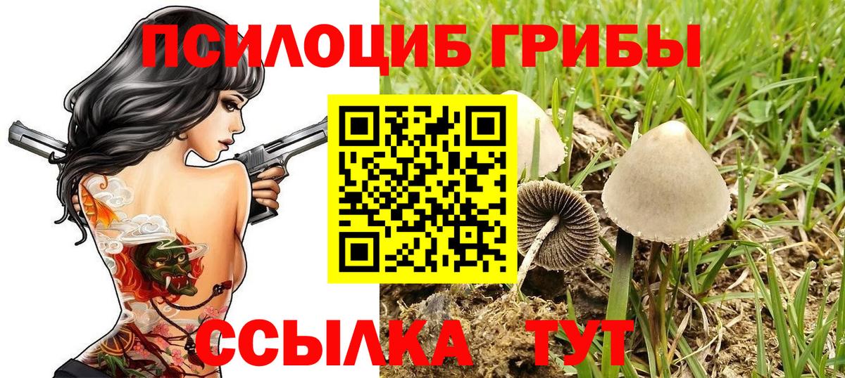 Гашиш  МЕФ  Вход с VPN  Перец  Hash Oil  Бошки Шишки  КОКАИН  Боровичи  Цена 