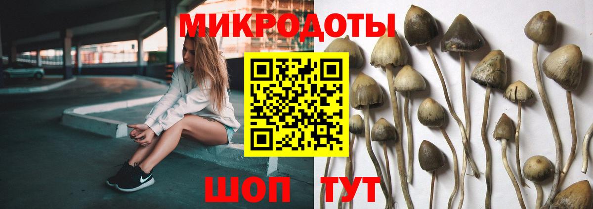 Галлюциногенные грибы прущие грибы Боровичи